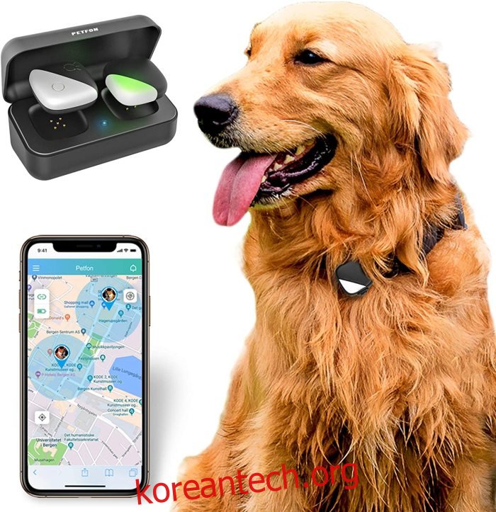 PetFon 애완 동물 GPS 추적기