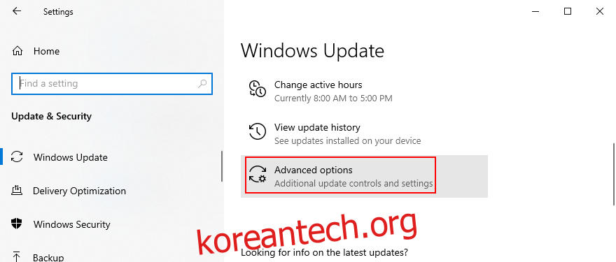 Windows 10은 고급 Windows 업데이트 옵션에 액세스하는 방법을 보여줍니다.